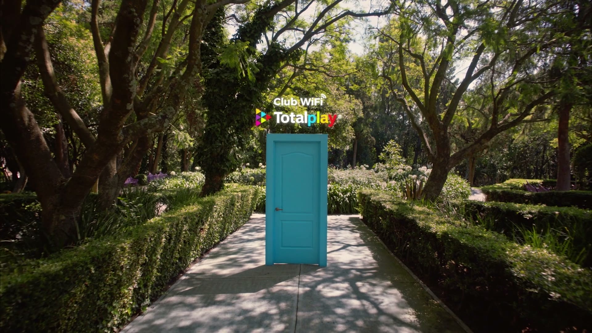 TotalPlay